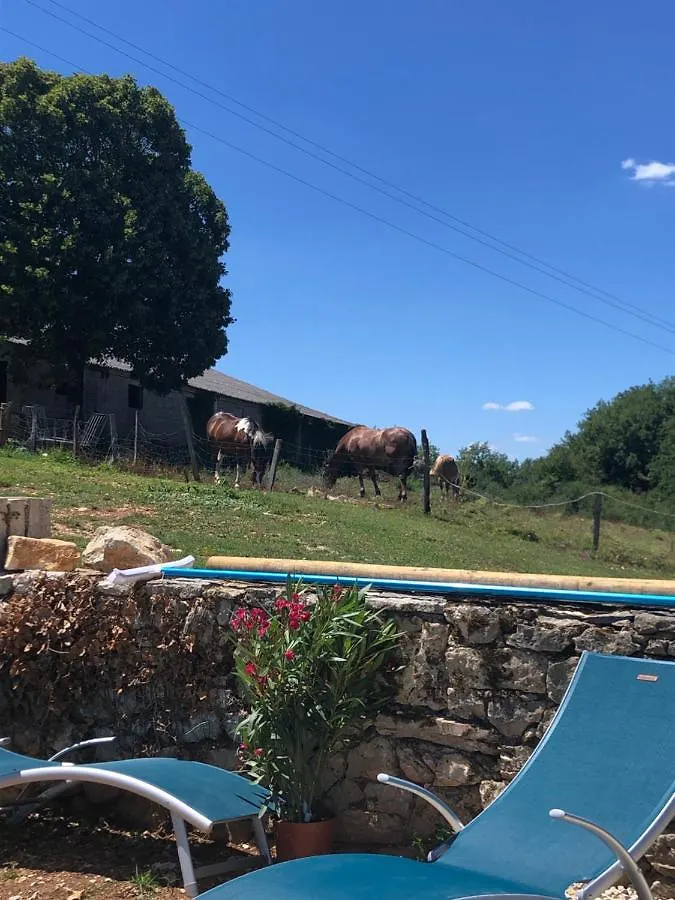 La Ferme De La Truffe Chambres D Hotes Cuzance Frankrijk